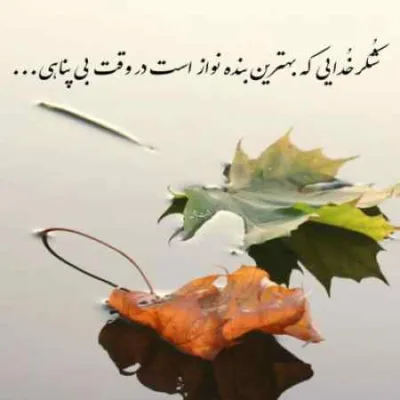 دانلود آهنگ عزیزم به هرچی که آدم حسودا میخواستن رسیدم شادمهر دانلود آهنگ عزیزم به هرچی که آدم حسودا میخواستن رسیدم شادمهر