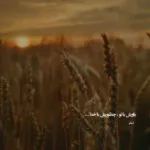 دانلود آهنگ بالا باز بالا باز خودتو تکون بده بچه خوشگل
