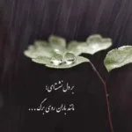 دانلود آهنگ به من بگو بی وفا حالا یار که هستی فرامرز اصلانی دانلود آهنگ به من بگو بی وفا حالا یار که هستی فرامرز اصلانی
