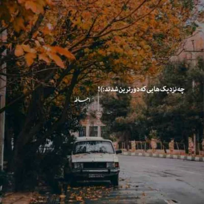دانلود آهنگ دلبر قد بالا داری دلبر