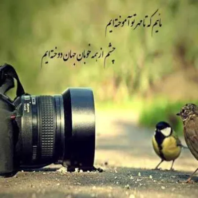 دانلود آهنگ دختر حاجی الماس تیپ میزنه چپ و راست