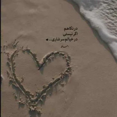 دانلود آهنگ دختر شیرازی جونم دختر شیرازی ابروتو به من بنما تا شوم راضی کامیار