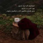 دانلود آهنگ قاصدکا هم یه روزی میشن پژمرده ویناک