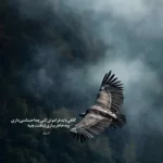 دانلود آهنگ قرص چی واسه خواب داری