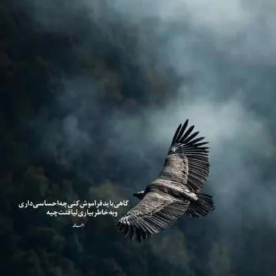 دانلود آهنگ  قرص چی واسه خواب داری
