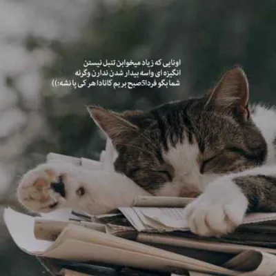 دانلود آهنگ ﮔﻔﺘﻰ ﺳﺎﻟﻴﻮاﻧﻰ ﻣﻨﻢ دﺧﺘﺮ ﻛﻮﭼﻴﻜت سهیل ولکا