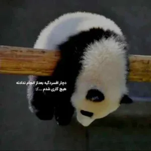 دانلود آهنگ کجا برم که عطر تو تو این هوا نباشه حجت اشرف زاده