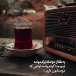 دانلود آهنگ میشه پرنده باشی اما رها نباشی
