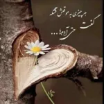 دانلود آهنگ ندیده یه ایران مثل ما چت کوروش دانلود آهنگ ندیده یه ایران مثل ما چت کوروش