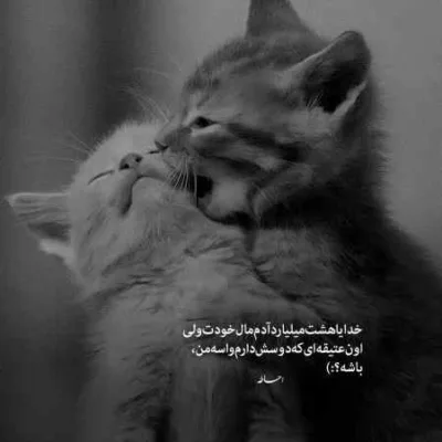 دانلود آهنگ نه نموخوام تو این خانه بمانم محمد امیری