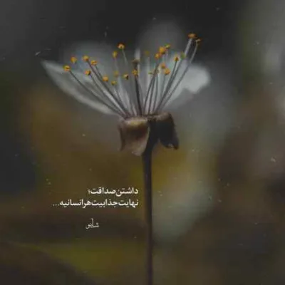 دانلود آهنگ  سپیده دم اومد و وقت رفتن جواد یساری