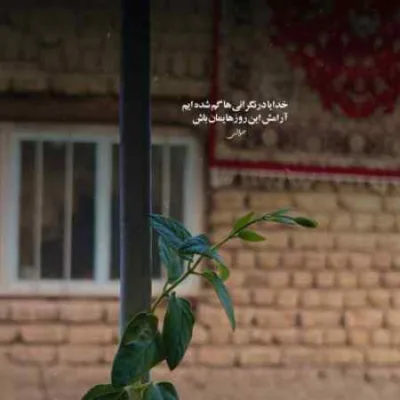 دانلود آهنگ تولده جیغ 21 میمونه نمیشه پیر تهی