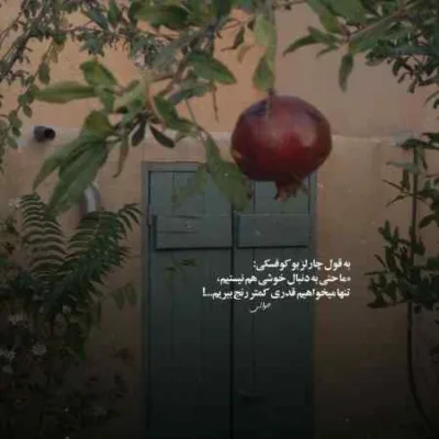 دانلود آهنگ  تو عاشق نمویی دل تو چی سنگه مجید عزیزی