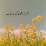 دانلود آهنگ های داینی داینی جونم سعید کریمی
