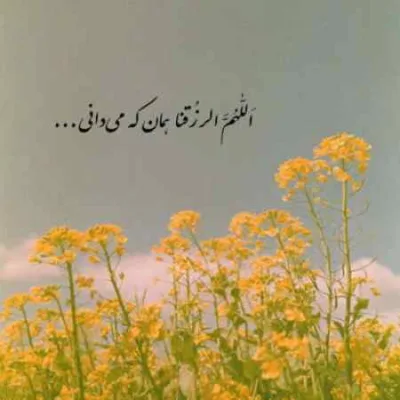 دانلود آهنگ های داینی داینی جونم سعید کریمی