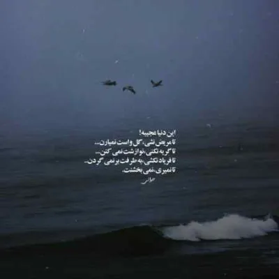 دانلود آهنگ اگه عاشقی خلافه قاضی بهنام حسن زاده دانلود آهنگ اگه عاشقی خلافه قاضی بهنام حسن زاده
