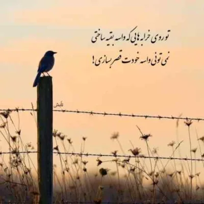 دانلود آهنگ  اگه یه روز قیدتو زدم میان پیشم از تو بهترن ممزی