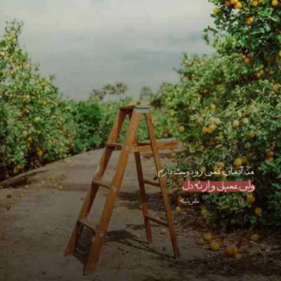 دانلود آهنگ  برگ گل محمدی چه عالمی به من دادی سامان