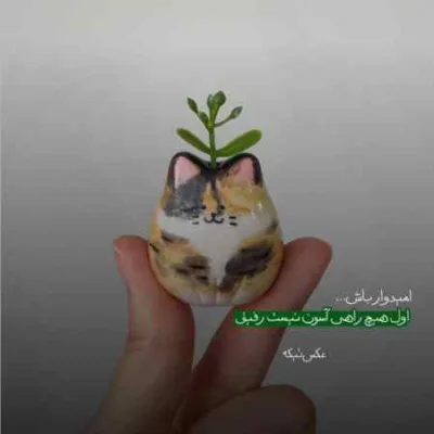دانلود آهنگ  باور نکردی حرف قلبم را آرام جانم هوش مصنوعی معین