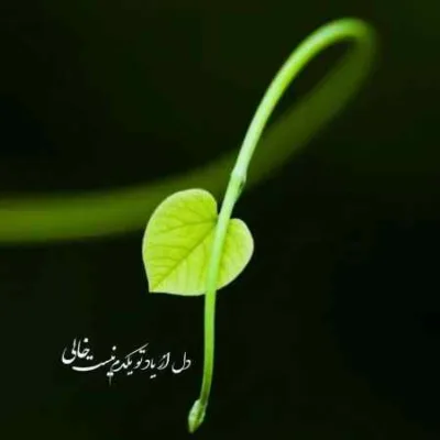 دانلود آهنگ  بی معرفت شده برام اونی که نفسش وصل نفسم بود سبحان رستمی