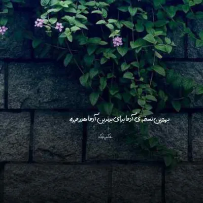 دانلود آهنگ بی تو مه یوسف ناو چاهم وای وای فرهاد جهانگیری