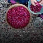 دانلود آهنگ چرا دلت تنگ نمیشه آخه مگه دل نداری ریوان