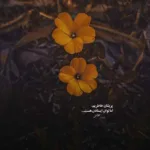 دانلود آهنگ دریده چش سفید چرچیل مونه جلال باقری دانلود آهنگ دریده چش سفید چرچیل مونه جلال باقری