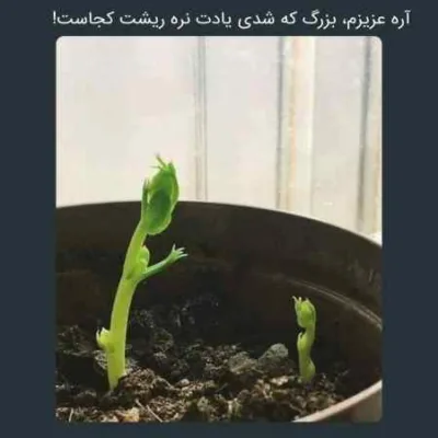 دانلود آهنگ دست من برات رو شده بی دستای تو خالی میشه دستم بابک جهانبخش