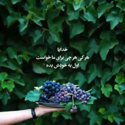 دانلود آهنگ  دلم میخواست میشد واست دشت و چراغونش کنم معین