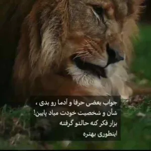 دانلود آهنگ ای خدا باغبان زخم ما را ندید حمید هیراد