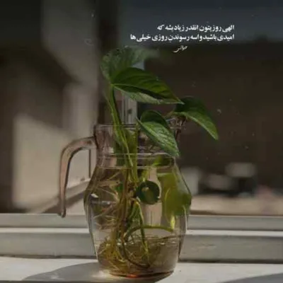 دانلود آهنگ هنوز میدونم منو میخوای آرتا دانلود آهنگ هنوز میدونم منو میخوای آرتا
