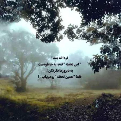 دانلود آهنگ هرچی جنگل پر شغال و کفتار بوه شیر علف خوار نوونه مجید احمدی دانلود آهنگ هرچی جنگل پر شغال و کفتار بوه شیر علف خوار نوونه مجید احمدی