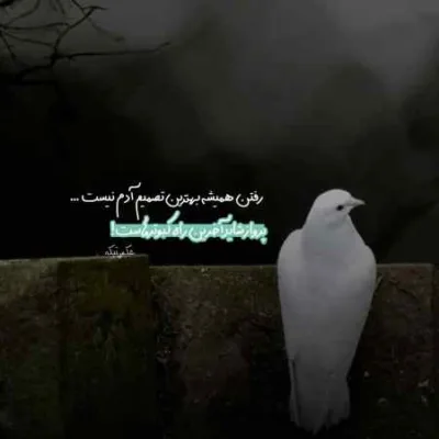 دانلود آهنگ حیف پرنده ی آرزوهامون که از بوم دوتامون پر کشیدش فرزاد فرزین دانلود آهنگ حیف پرنده ی آرزوهامون که از بوم دوتامون پر کشیدش فرزاد فرزین