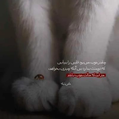 دانلود آهنگ جوانی ای جوانی ای جوانی بابا لیلی بیمار شدم امیر سعادت