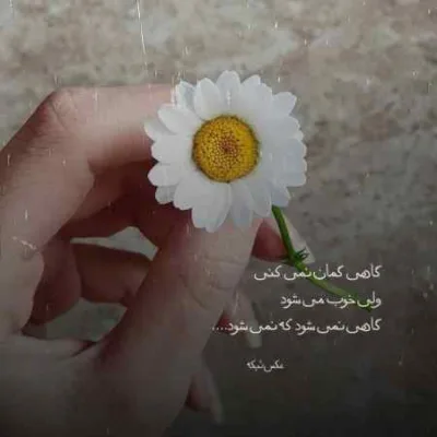 دانلود آهنگ خونه دیگه خونه نیست دیوونه خونست مسعود صادقلو