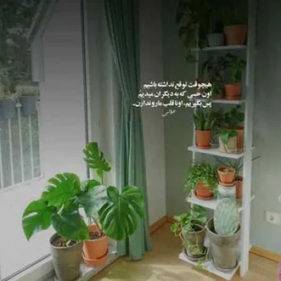 دانلود آهنگ کل شهر با ما بیداره تازه شورشو دربیاریم ترند اینستا