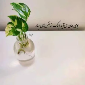 دانلود آهنگ من عاشقانه ترین شعر زمان توام