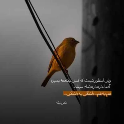 دانلود آهنگ من هیچ حسی به هیچکی ندارم سهراب ام جی دانلود آهنگ من هیچ حسی به هیچکی ندارم سهراب ام جی