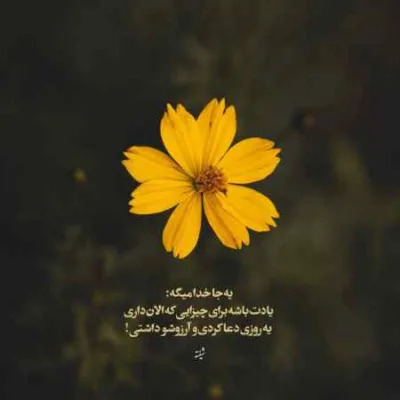 دانلود آهنگ میرمو یه رو میفهمی قدرمو دانلود آهنگ میرمو یه رو میفهمی قدرمو