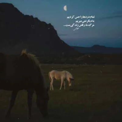 دانلود آهنگ  شکر خدا خزون سر اومد صحرا پر از پروانه شد مصطفی ابراهیمی