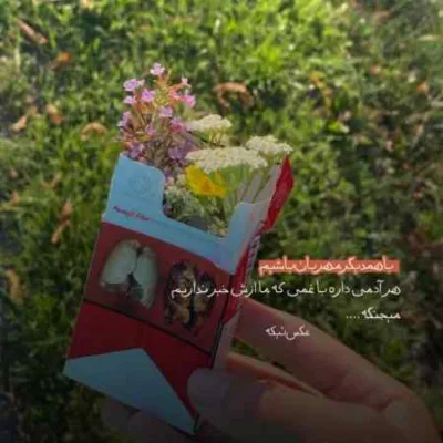 دانلود آهنگ نه در میخانه کین خمار خام است شجریان