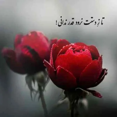 دانلود آهنگ ولی تو بد کردی بد دردی گذاشتی جا برام پیام عباسی