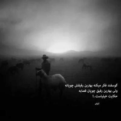 دانلود آهنگ تو که عروسکی تو که ملوسکی دیونه اون چشاتم سعید پانتر دانلود آهنگ تو که عروسکی تو که ملوسکی دیونه اون چشاتم سعید پانتر
