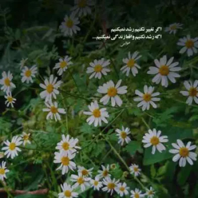 دانلود آهنگ یه اردیبهشتی آروم با صبر و تحمل