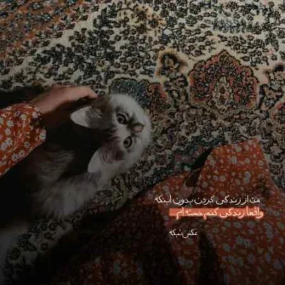 دانلود آهنگ  بیست چهاری ﺗﻮی وﻳﺲ ﻛﺎﻟﻪ ﺗﻜﺴﺖ ﻣﻴﺪه ﻣﻴﮓ ﻧﻮﻛﺎﻟﻪ بابی