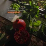 دانلود آهنگ برمه نکن صداشه در نیار شومه از این دیار امیر باباجانی