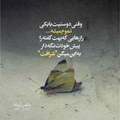 دانلود آهنگ مانگ و مانگ و سال و سال کوچه و کوچه مال و مال آرمان نظری