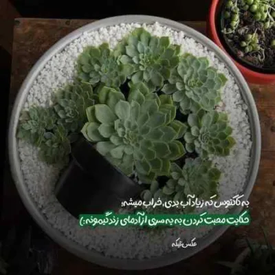 دانلود آهنگ محکومی داری غرورمو میشکونی آروین قاسمی دانلود آهنگ محکومی داری غرورمو میشکونی آروین قاسمی