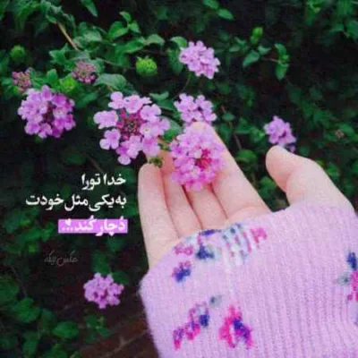 دانلود آهنگ ببینم خوشبختی تو یه چی که دلتو خوش کنه داری شایع