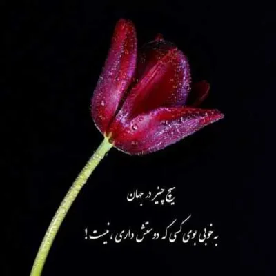 دانلود آهنگ مهره ی مار دارنی خاطرخواه هزار دارنی بهنام حسن زاده